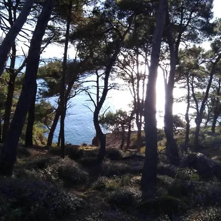 Apartament In Near Hidrobaza *