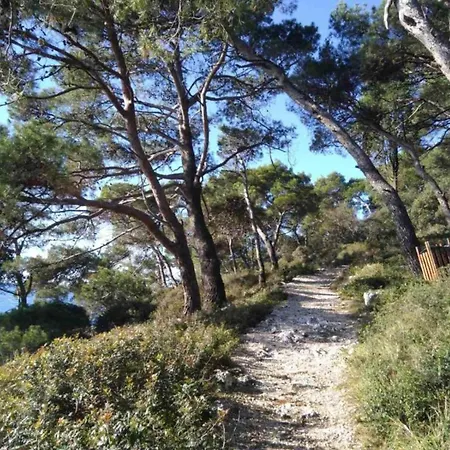 Appartamento In Near Hidrobaza